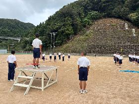 合同体育1