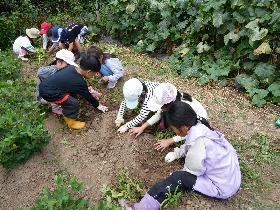 伊根っこ農園