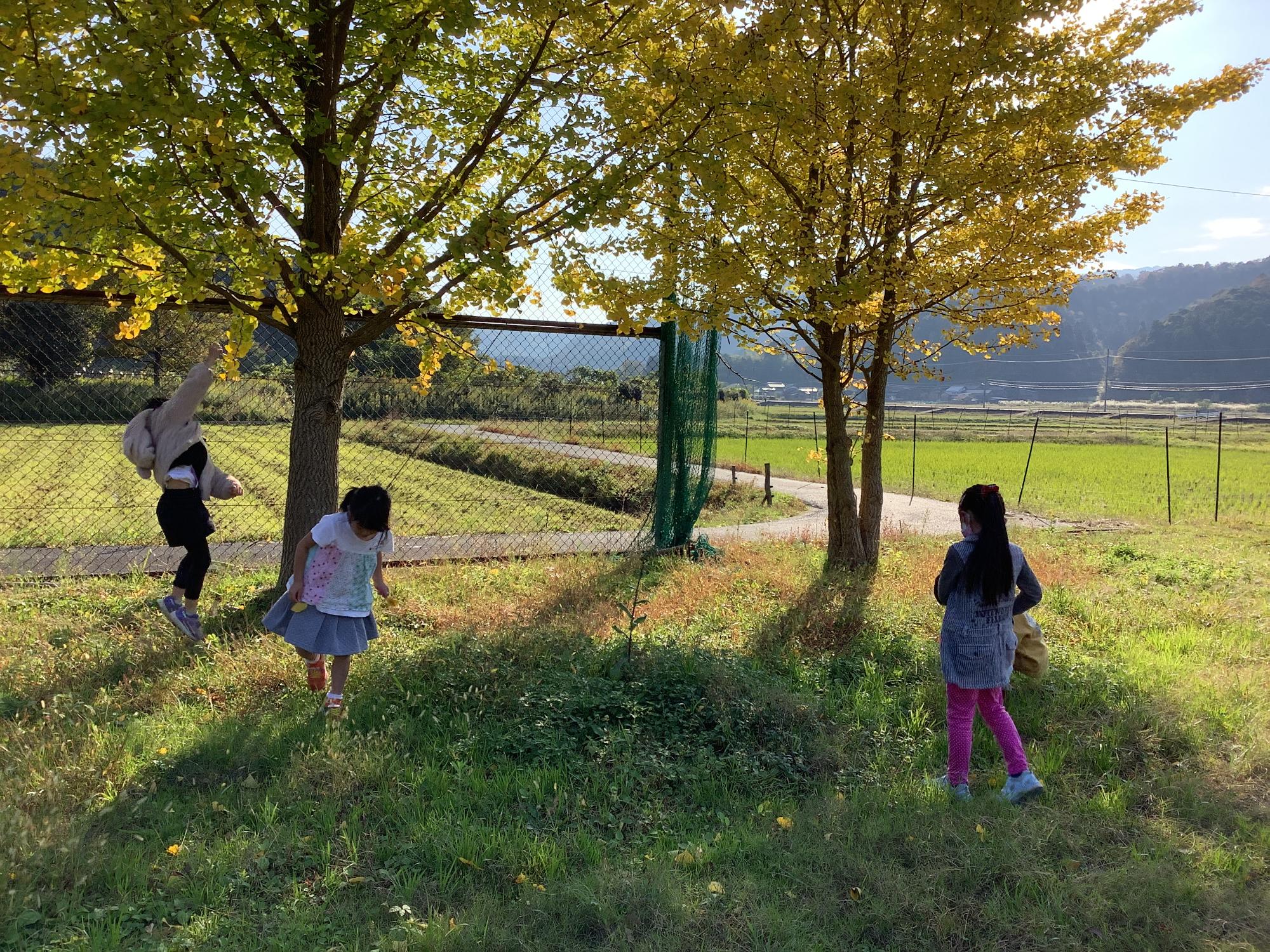 autumn
