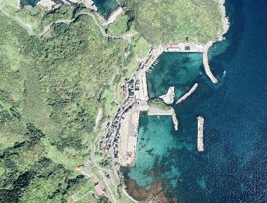 緑の山と青い海、漁港沿いに家々が並んでいる本庄漁港の航空写真