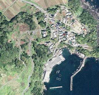 漁港近くに住宅地があり、その奥に農地が広がっている新井漁港の航空画像