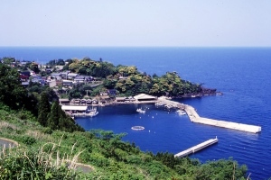 青い海に岸から堤防が伸びており、漁港の奥に住宅が並んでいる新井漁港の遠景写真