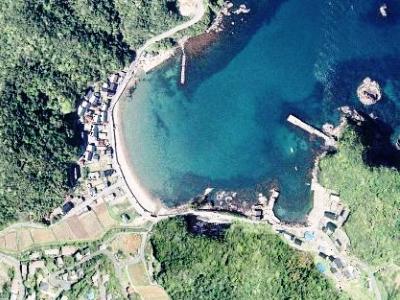 弯状の漁港で青い海と漁港近くに家々が並んでおり、その後ろには緑の山が広がっている泊漁港の航空写真